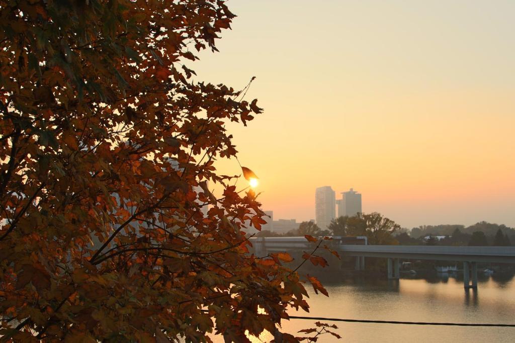 Strandhotel Alte Donau 비엔나 외부 사진